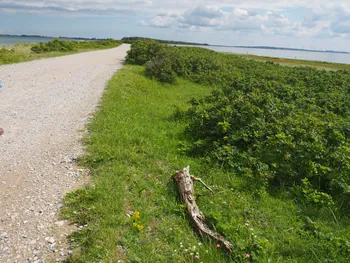 Halshuisene + Enebaerodde Beach (Denemarken)